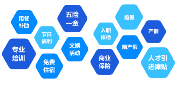 提供全面、系統、專(zhuān)業(yè)的培訓和廣闊的<br>職業(yè)發(fā)展空間和提升機會(huì )